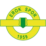 Прогноз на матч Esenler Erokspor - Galatasaray SK: Ожидаемое количество очков выше 165.5